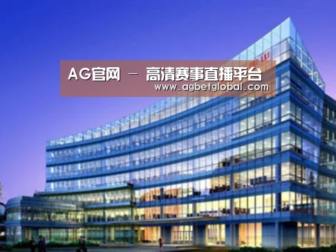 AG体育案例展示三