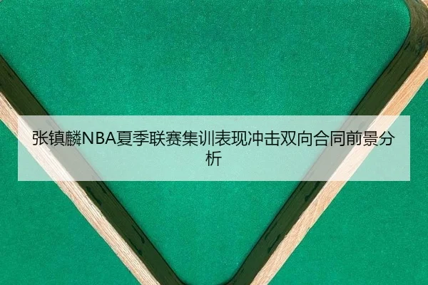 张镇麟NBA夏季联赛集训表现冲击双向合同前景分析