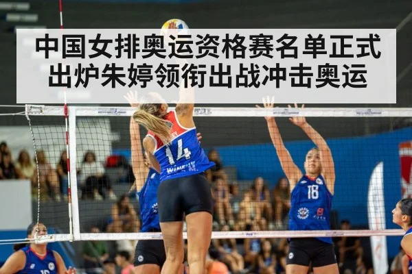 中国女排奥运资格赛名单正式出炉朱婷领衔出战冲击奥运