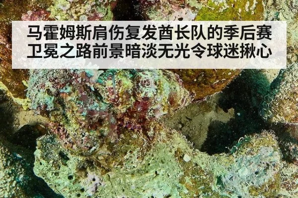 马霍姆斯肩伤复发酋长队的季后赛卫冕之路前景暗淡无光令球迷揪心